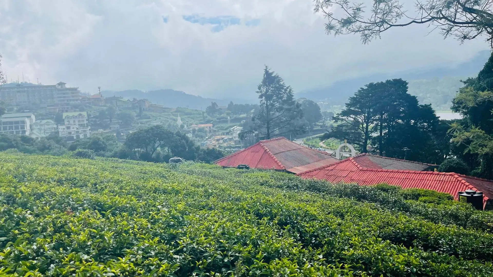 The Lake Frost Nuwara Eliya 3*,